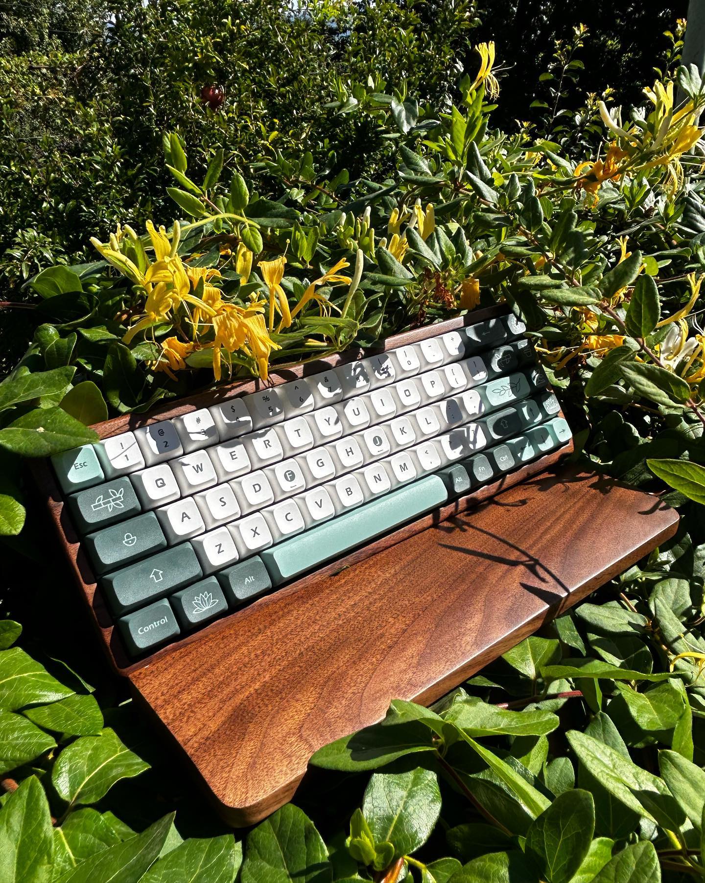 Custom mechanical keyboard surrounded by yellow flowers in sunlight
